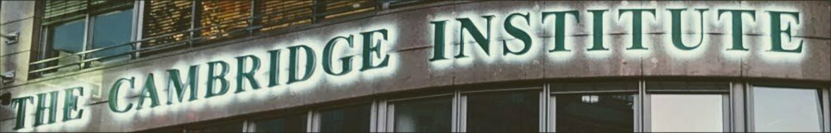 Banner TCI Website2 modena